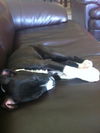 Lena the Lap Swimmer