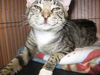 Oliver the Super Affectionate