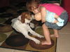 Marcus the Kid-Friendly Beagle