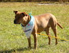 Roxie