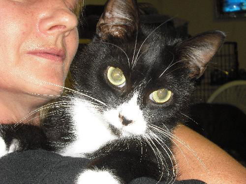 Tux ~ Oh So Mellow