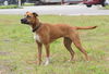 Autumn the Toy-Loving and Playful Girl