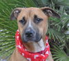 Autumn the Toy-Loving and Playful Girl