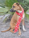 Autumn the Toy-Loving and Playful Girl