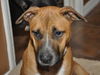 Autumn the Toy-Loving and Playful Girl