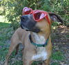 Autumn the Toy-Loving and Playful Girl