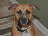 Autumn the Toy-Loving and Playful Girl