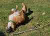 Autumn the Toy-Loving and Playful Girl
