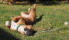Autumn the Toy-Loving and Playful Girl