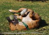 Autumn the Toy-Loving and Playful Girl