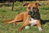 Autumn the Toy-Loving and Playful Girl