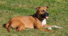 Autumn the Toy-Loving and Playful Girl