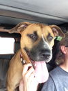 Autumn the Toy-Loving and Playful Girl