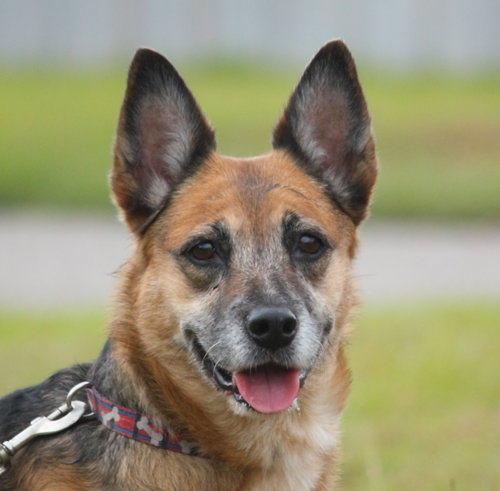 Maya the Pretty Little Lady