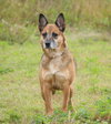 Maya the Pretty Little Lady