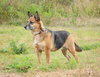 Maya the Pretty Little Lady