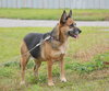 Maya the Pretty Little Lady