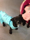 Hetty