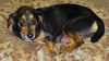 Lula the Sweet Mama