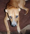 Kiya the Good Listener