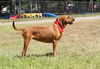 Savanah the People Loving Girl