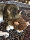 Megatron *FRONT DECLAWED*