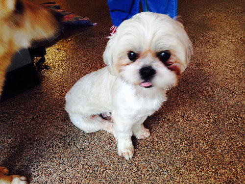 Buster