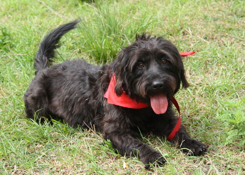 Winston