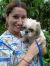 Willie Wonka the Shih Tzu