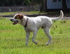 Sawyer