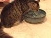 Trudy