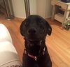 Mimi