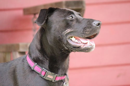 Ellie Mae