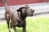 Ellie Mae