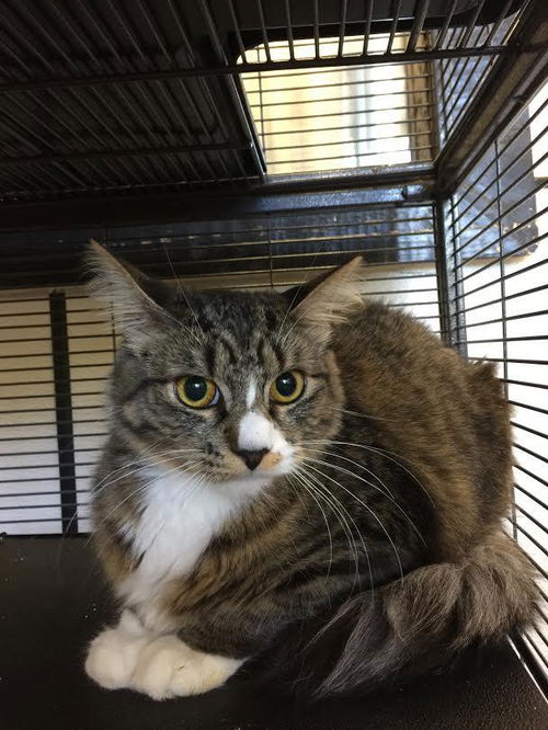 Fiona