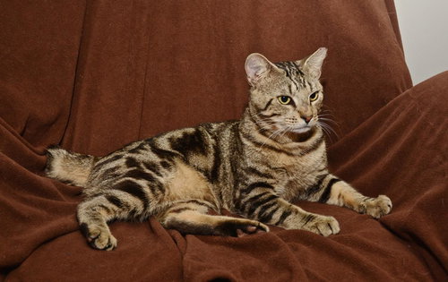 Duncan