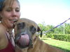 Apple the Starved Boxer