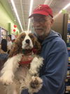 Buster the Cavalier King Charles