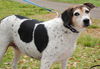 Pamela (Molly) the Loving Girl