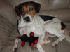 Pamela (Molly) the Loving Girl