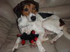 Pamela (Molly) the Loving Girl