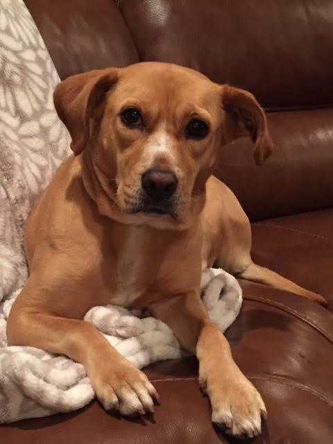 Gracie
