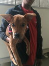 Roxy
