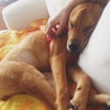 Roxy