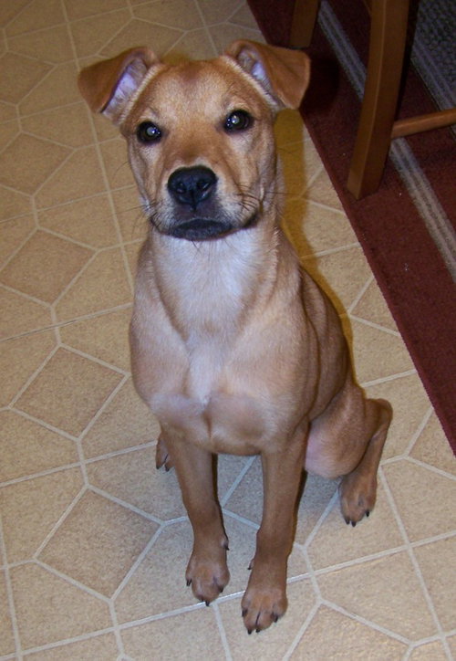 Roxy
