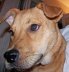 Roxy