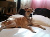 Roxy