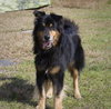 Charley