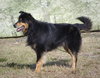 Charley