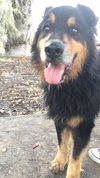 Charley